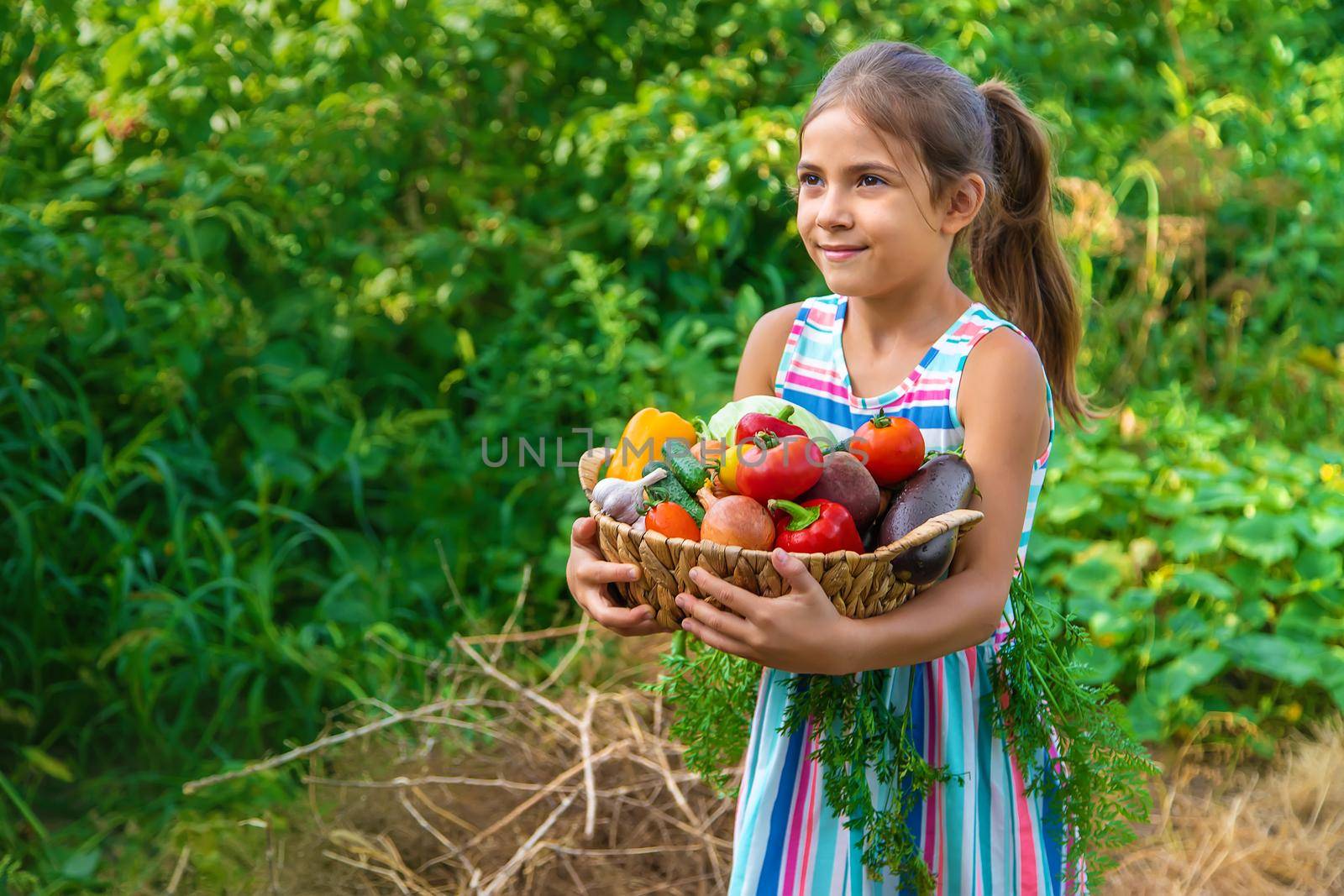 The child holds vegetables in his hands in the garden. Selective focus. Kid.
