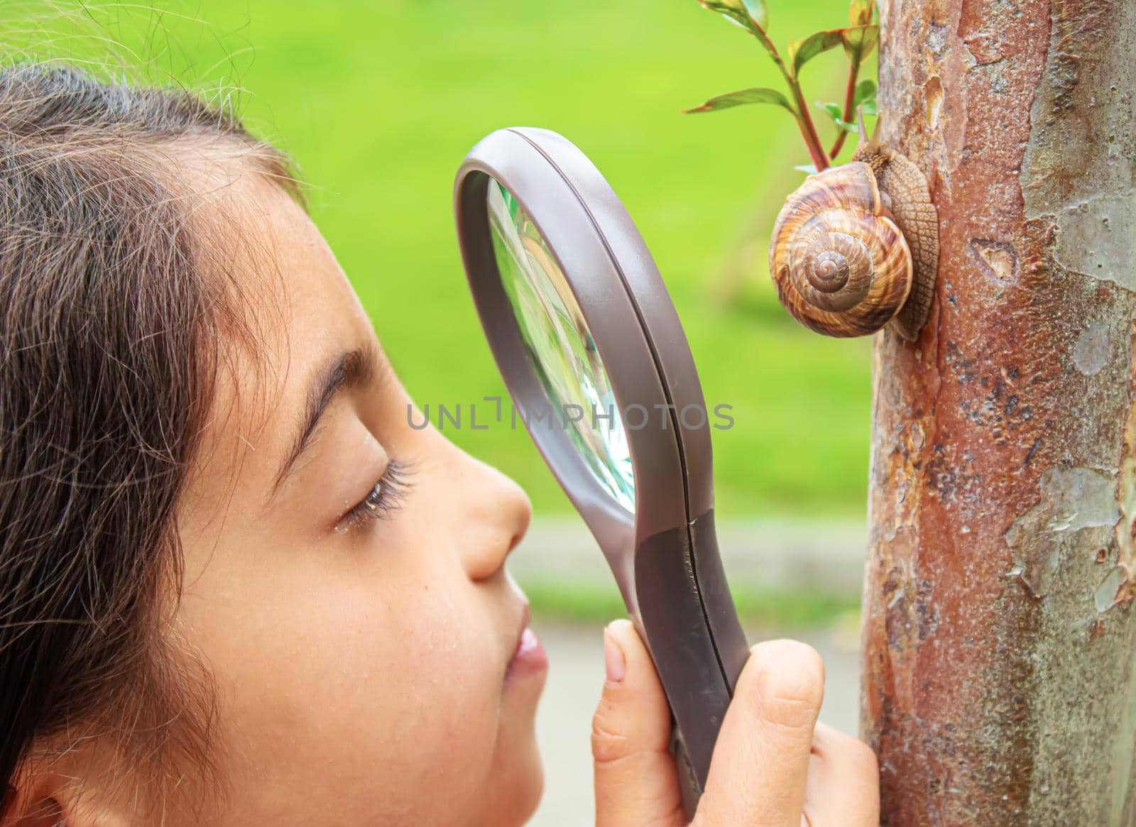 The child examines the snails on the tree. Selective focus. by mila1784