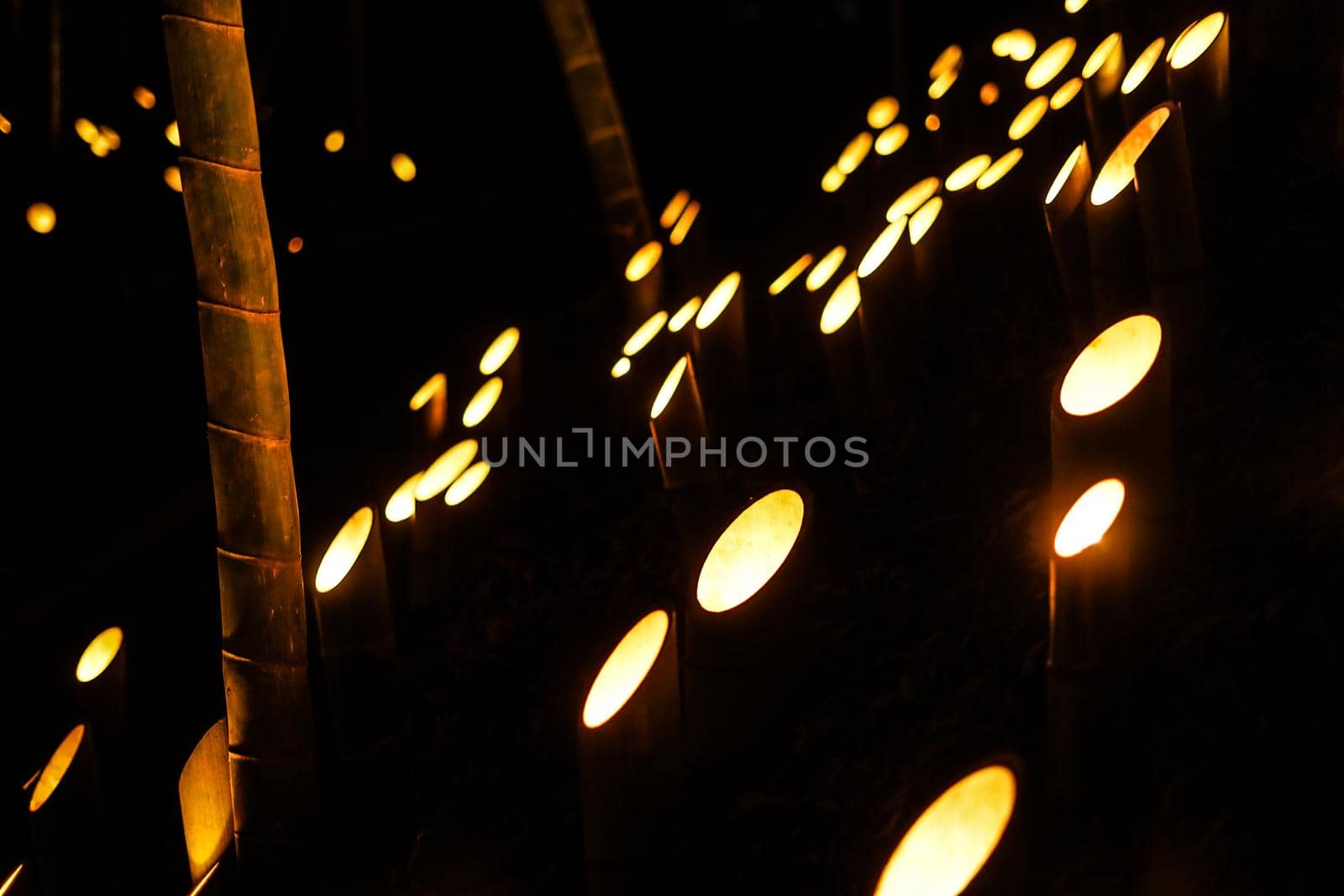 Bamboo Light Up (Koishi Castle Citizen Forest). Shooting Location: Yokohama-city kanagawa prefecture