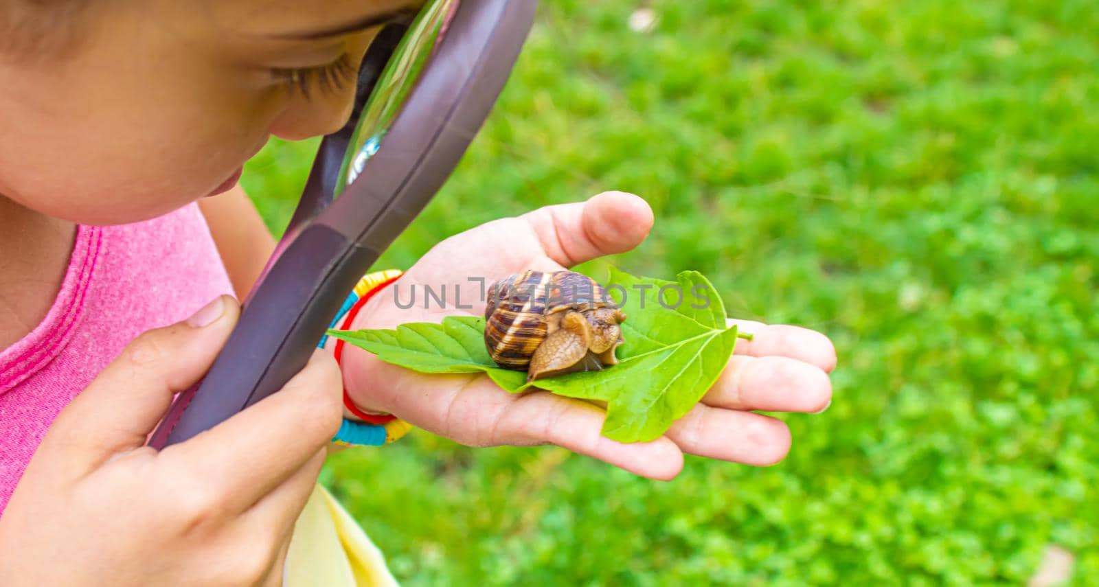 The child examines the snails on the tree. Selective focus. Nature.