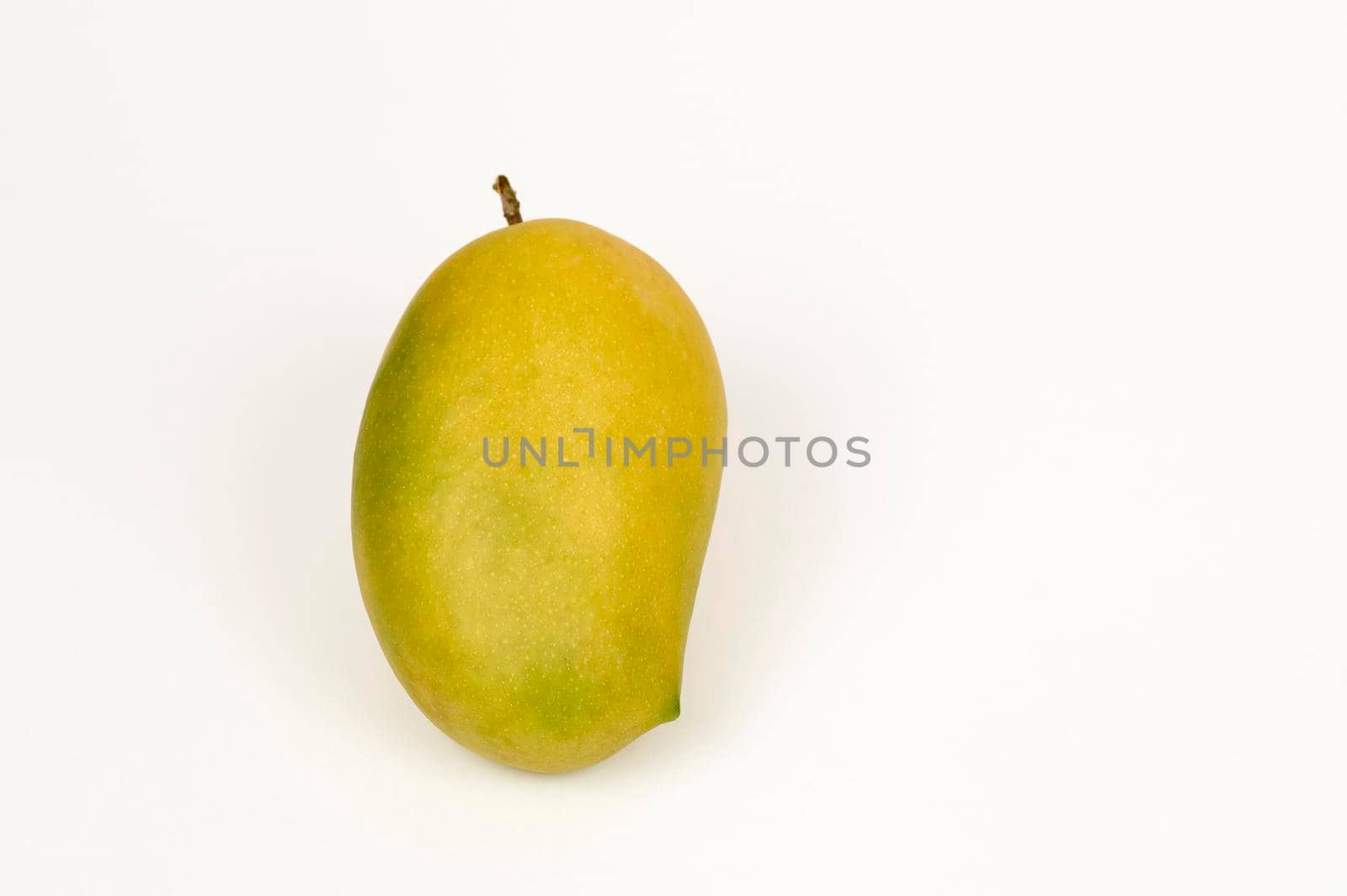 Closeup view of single Kesar Mango on a white background