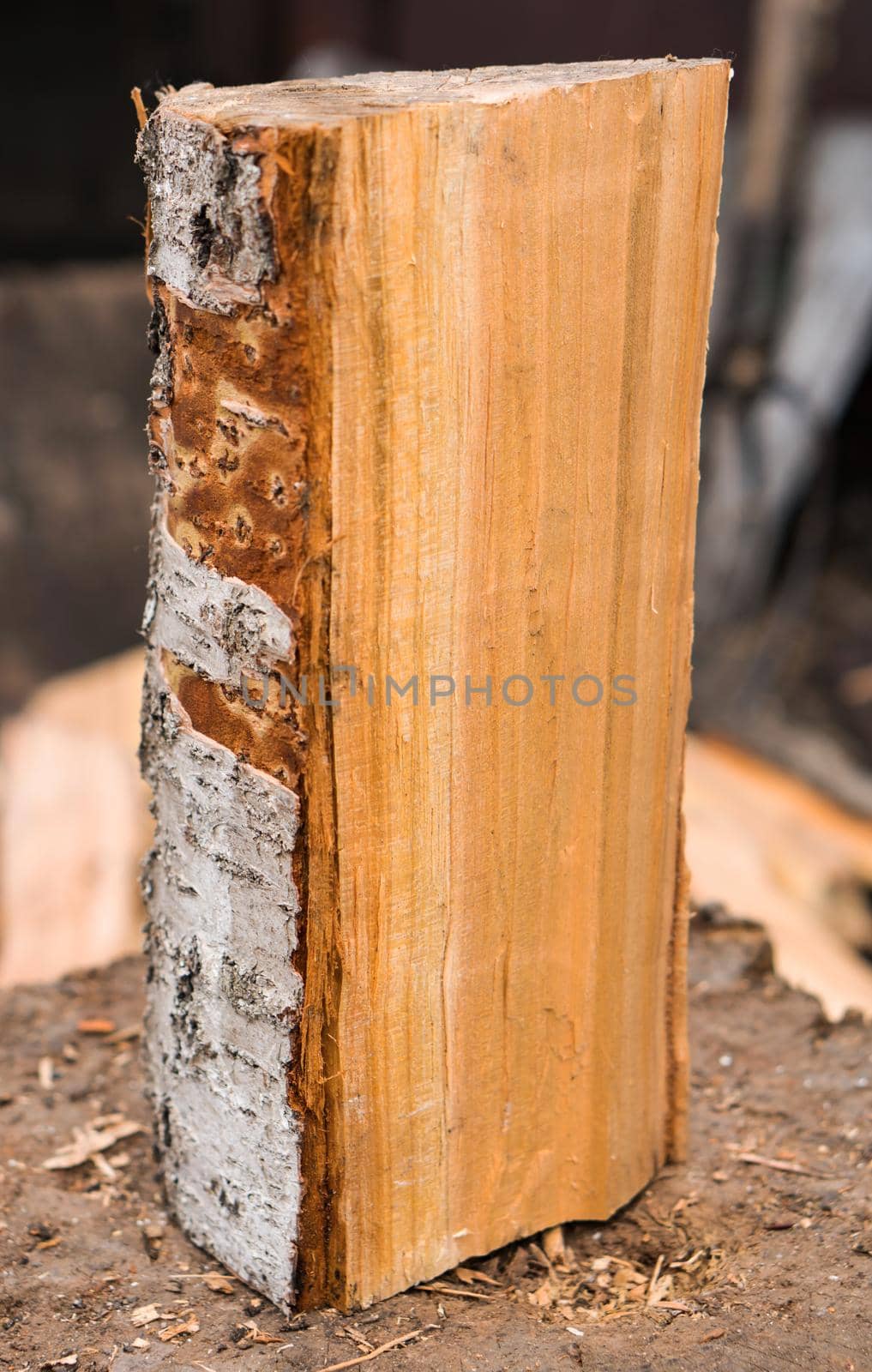 wood log, part of a chipped wood log close-up