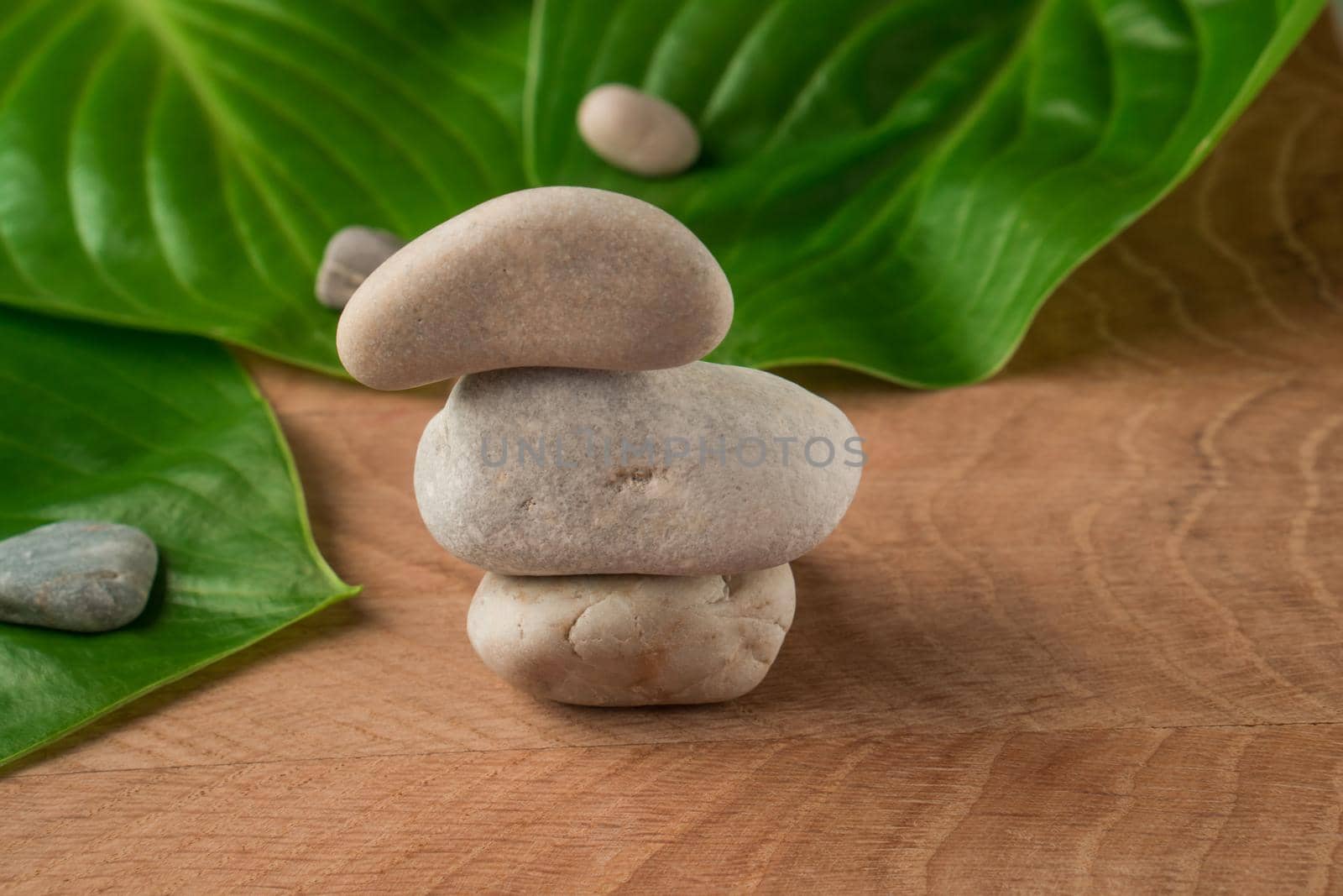 Green Leaves, Roadway Hosts and Stones of Various Velecheny, on the Background of a Wooden Board