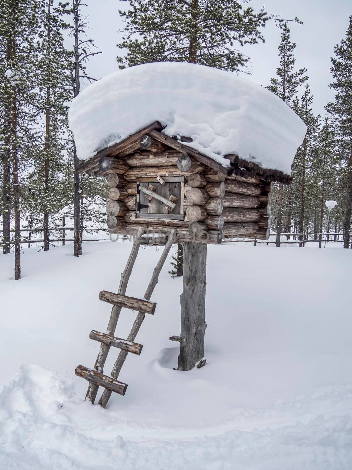 wooden hut in winter snowy forest in Finland, Lapland.