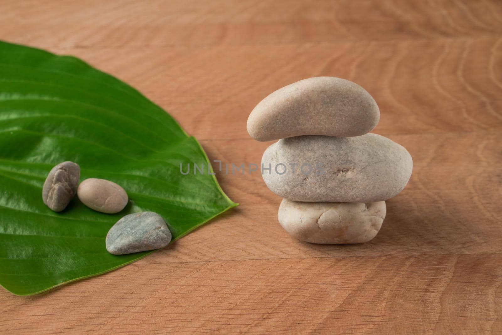 Green Leaves, Roadway Hosts and Stones of Various Velecheny, on the Background of a Wooden Board