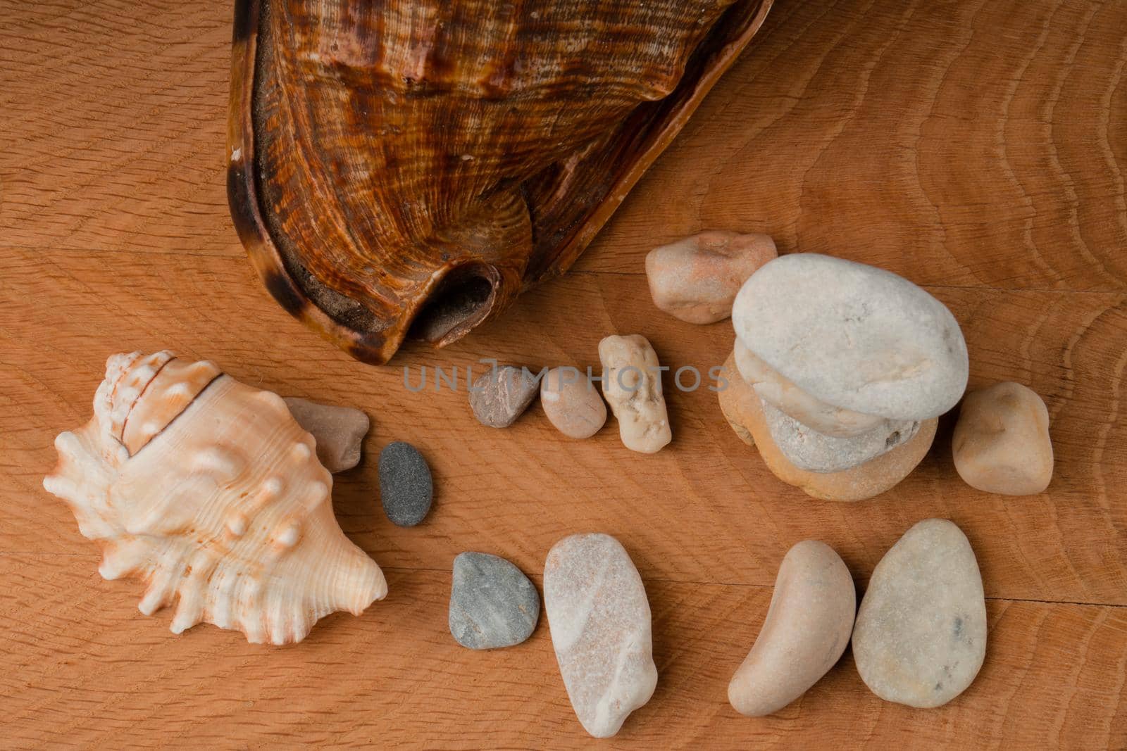 Seashells and a bunch of sea stones, on a wooden board