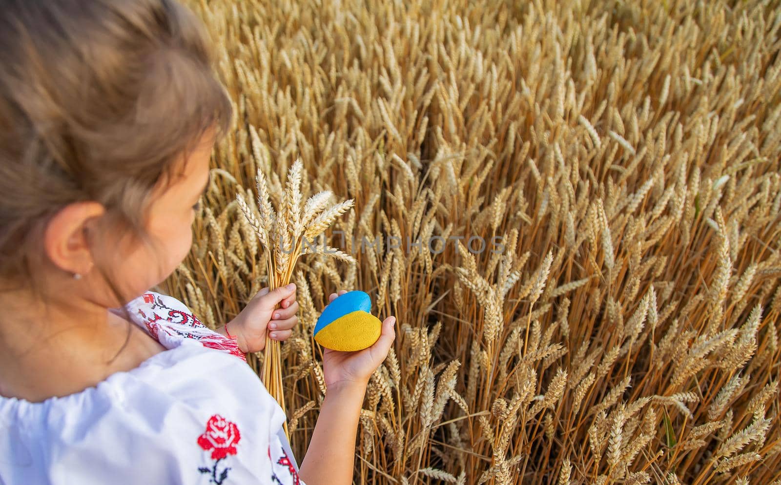Child in a wheat field. In vyshyvanka, the concept of the Independence Day of Ukraine. Selective focus. Kid.