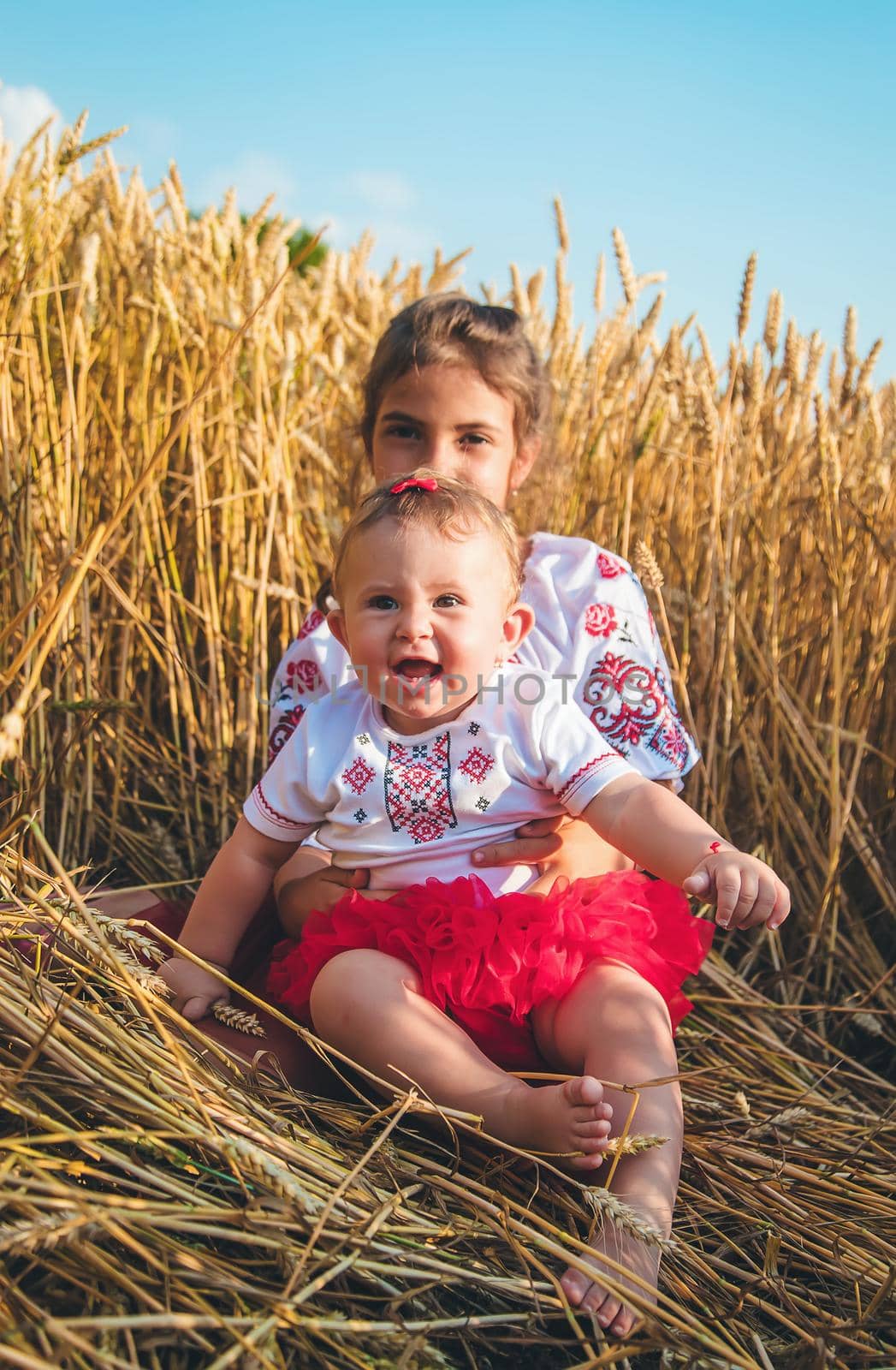 Child in a wheat field. In vyshyvanka, the concept of the Independence Day of Ukraine. Selective focus. by yanadjana