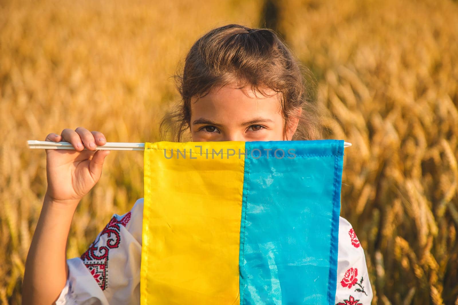 Child in a wheat field. In vyshyvanka, the concept of the Independence Day of Ukraine. Selective focus. Kid.