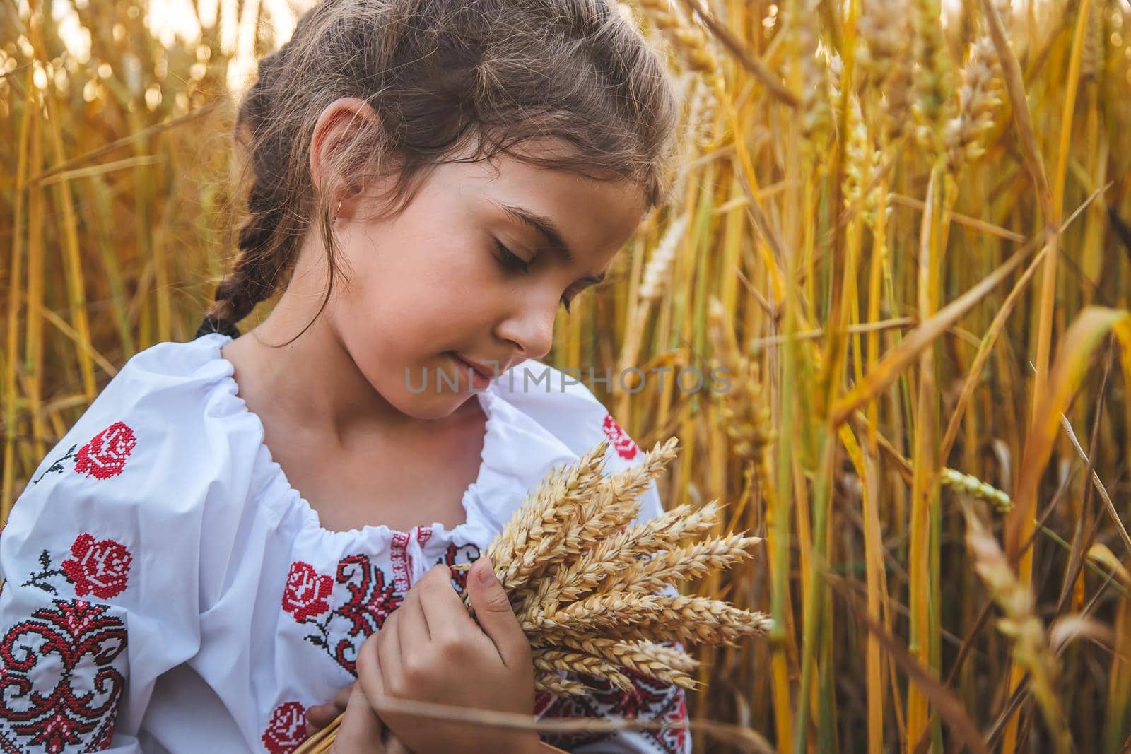 Child in a wheat field. In vyshyvanka, the concept of the Independence Day of Ukraine. Selective focus. Kid.