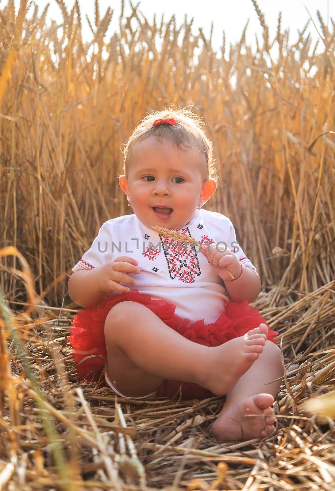 Child in a wheat field. In vyshyvanka, the concept of the Independence Day of Ukraine. Selective focus. Kid.