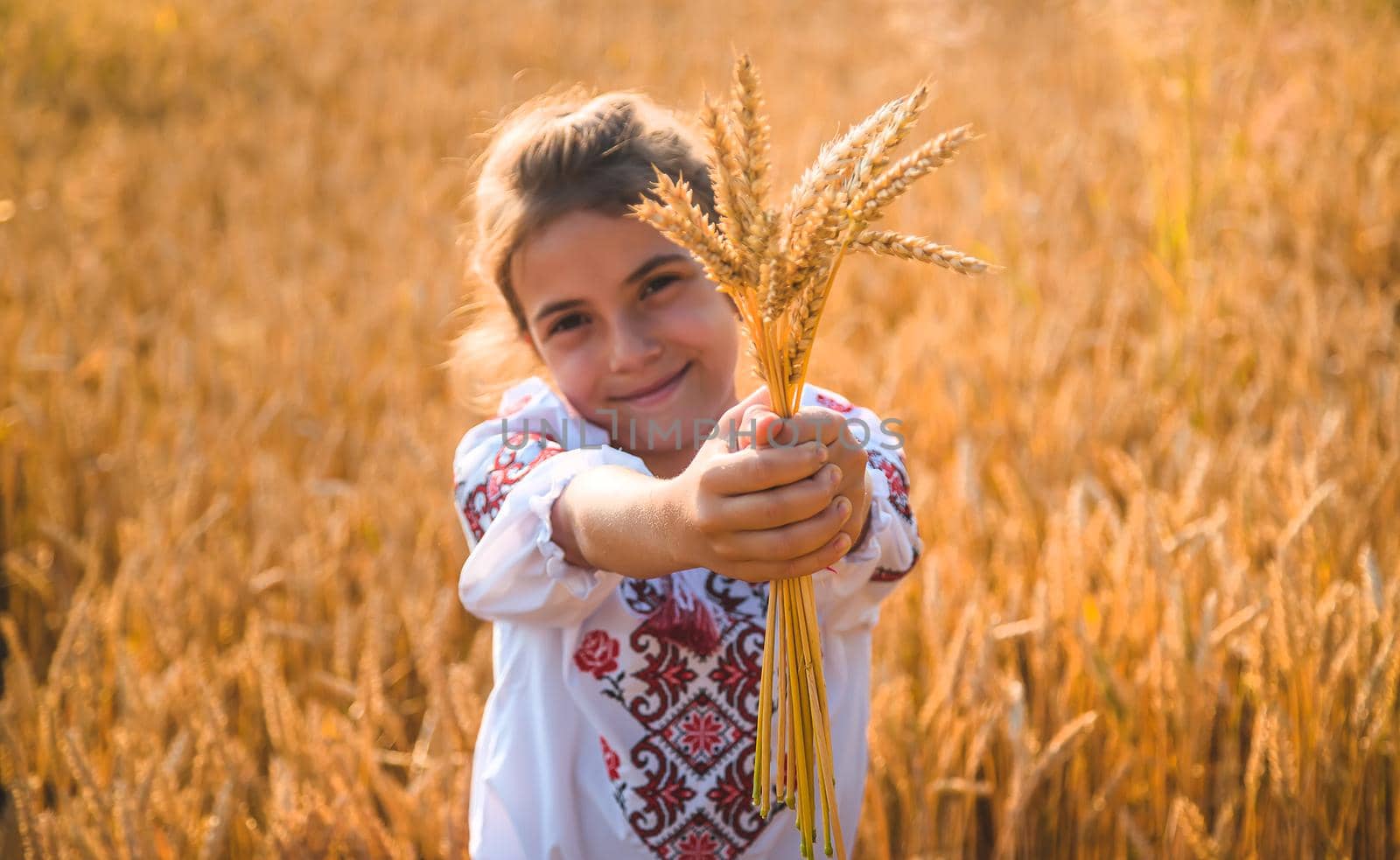 Child in a wheat field. In vyshyvanka, the concept of the Independence Day of Ukraine. Selective focus. Kid.