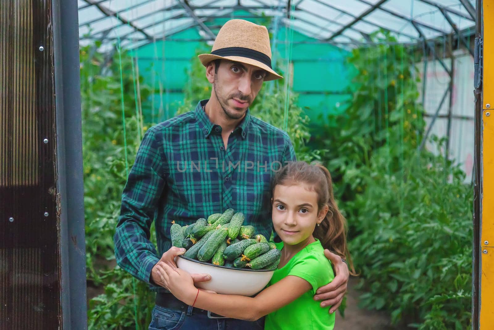 A man farmer and a child are holding a harvest of cucumbers in their hands. Selective focus. Food.