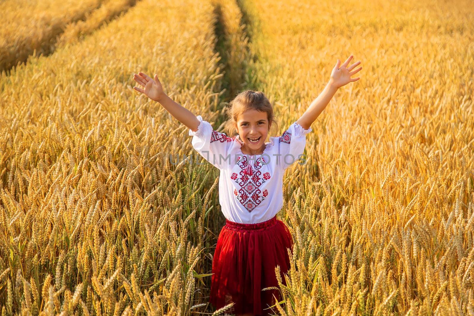 Child in a wheat field. In vyshyvanka, the concept of the Independence Day of Ukraine. Selective focus. Kid.