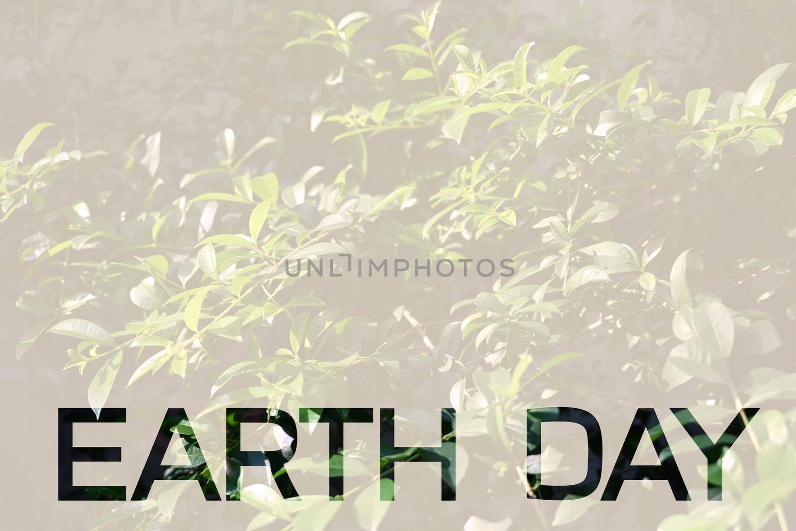 The word Earth Day on green nature background. Earth day, Ecology concept.
