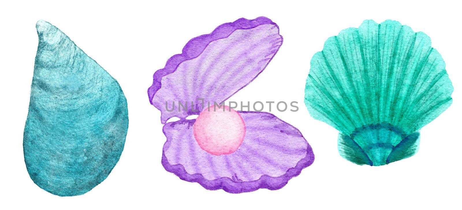 Watercolor illustration of shells, clam shell in blue turquoise purple colors, ocean sea underwater wildlife animals. Nautical summer beach design, coral reef life nature