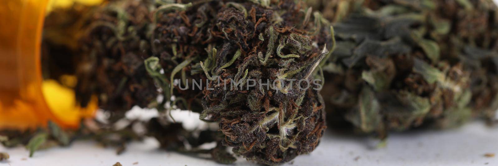 Close-up of split dried marijuana plant, dropped plastic bottle with hemp medication. Meds for therapy, traditional medicine for patient. Cannabis concept