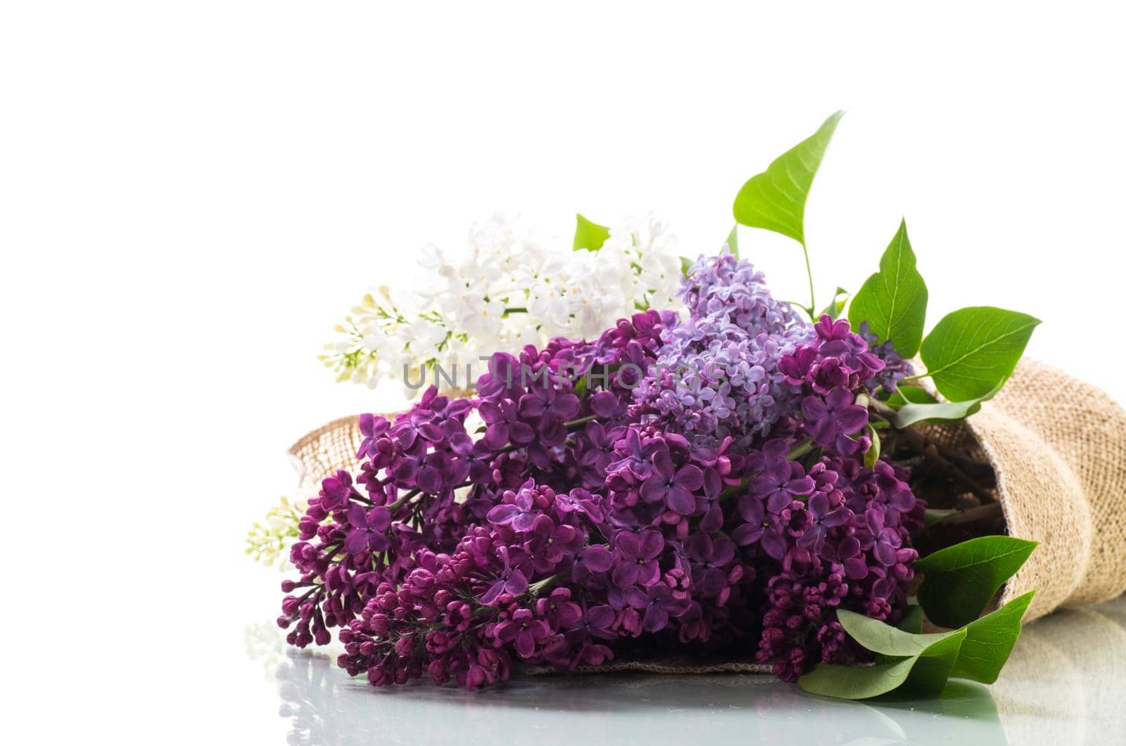 Bouquet of beautiful spring lilacs of different colors on a wooden table