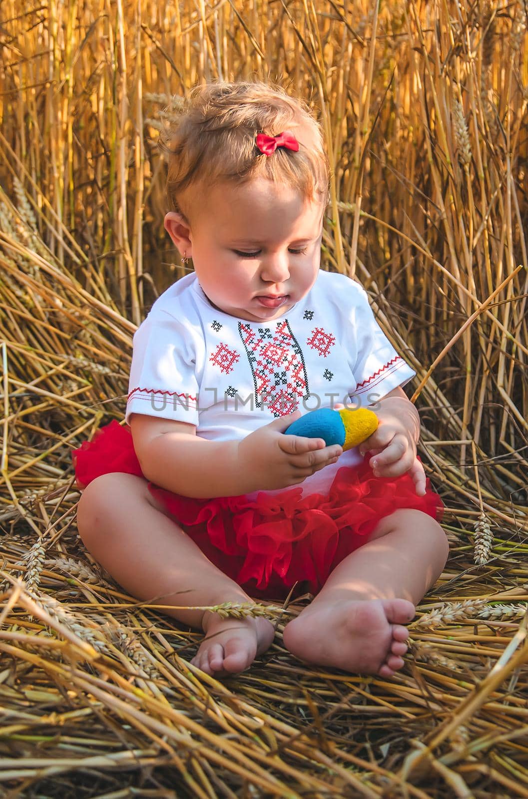 Child in a wheat field. In vyshyvanka, the concept of the Independence Day of Ukraine. Selective focus. by yanadjana