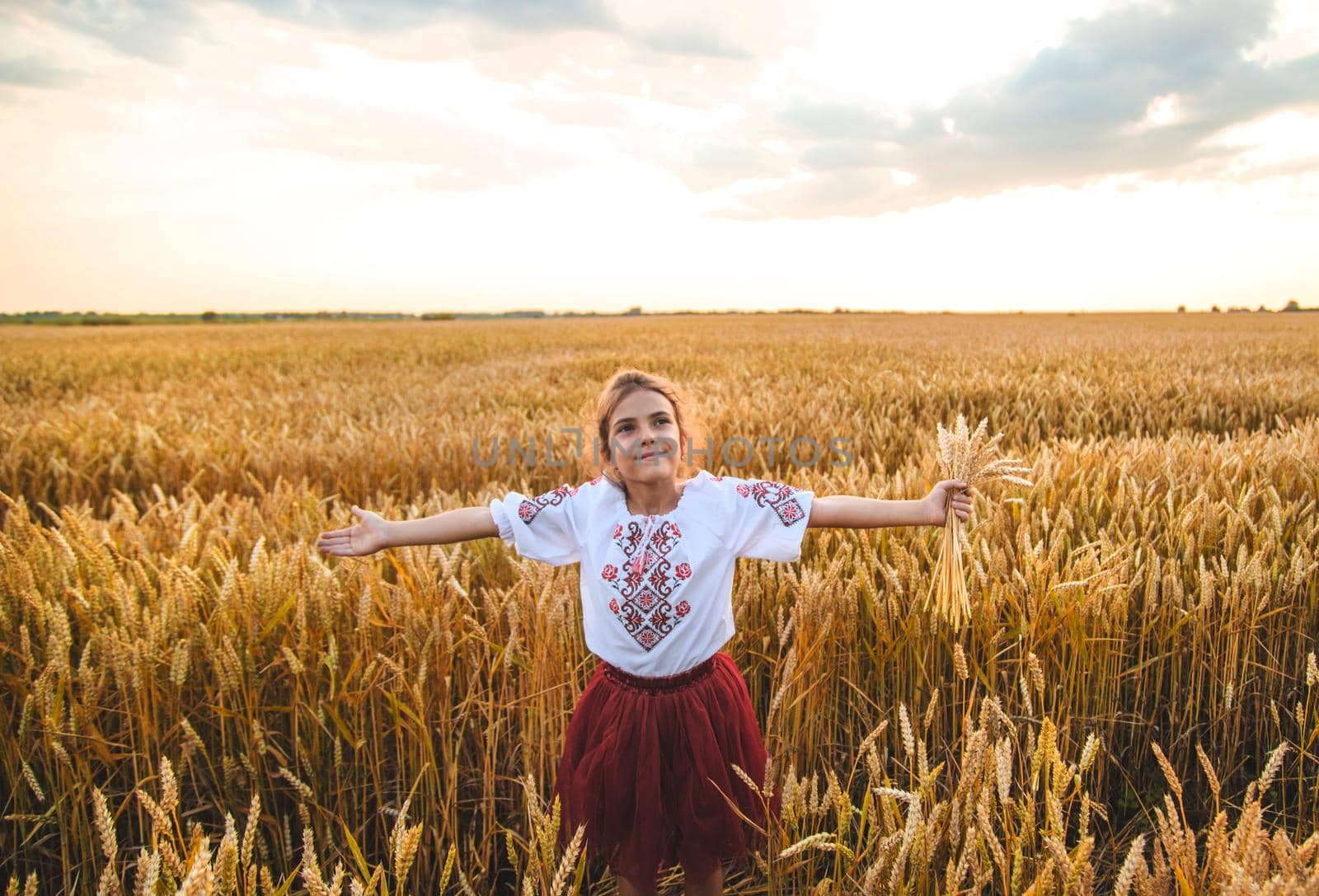 Child in a wheat field. In vyshyvanka, the concept of the Independence Day of Ukraine. Selective focus. Kid.