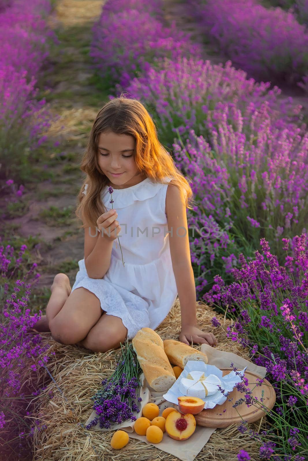 A child in a lavender field. Selective focus. Nature.