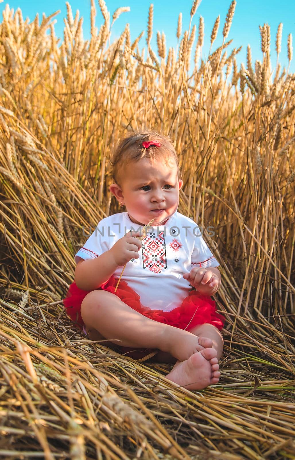 Child in a wheat field. In vyshyvanka, the concept of the Independence Day of Ukraine. Selective focus. Kid.