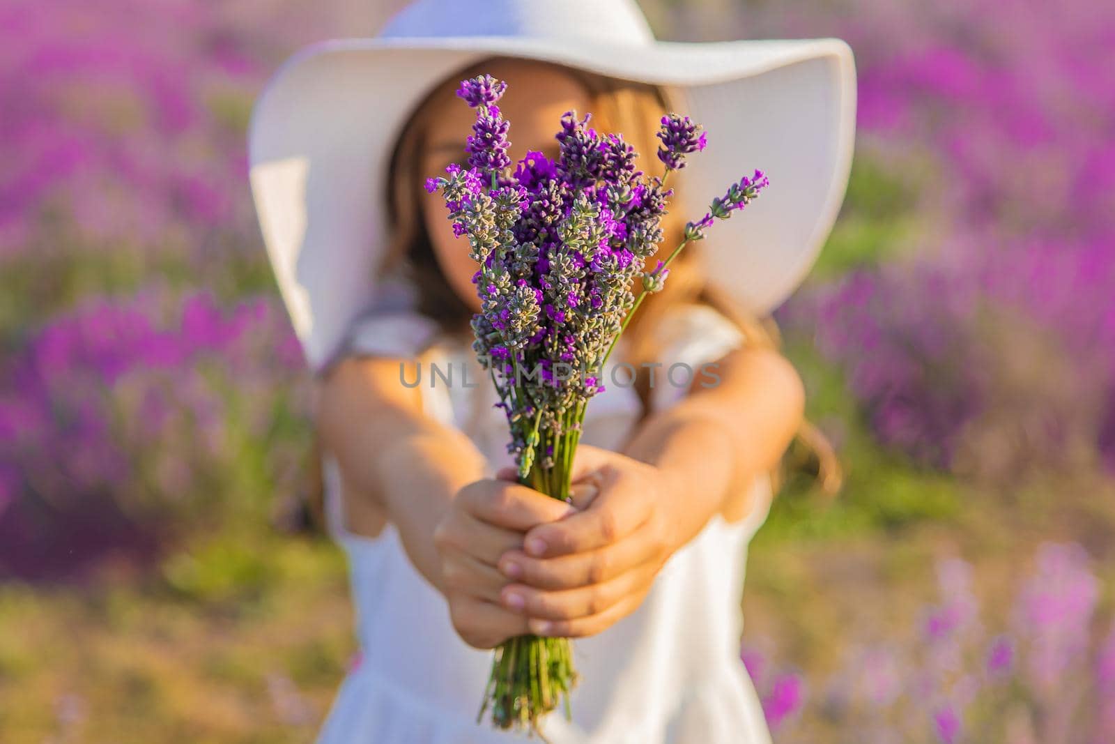 A child in a lavender field. Selective focus. Nature.