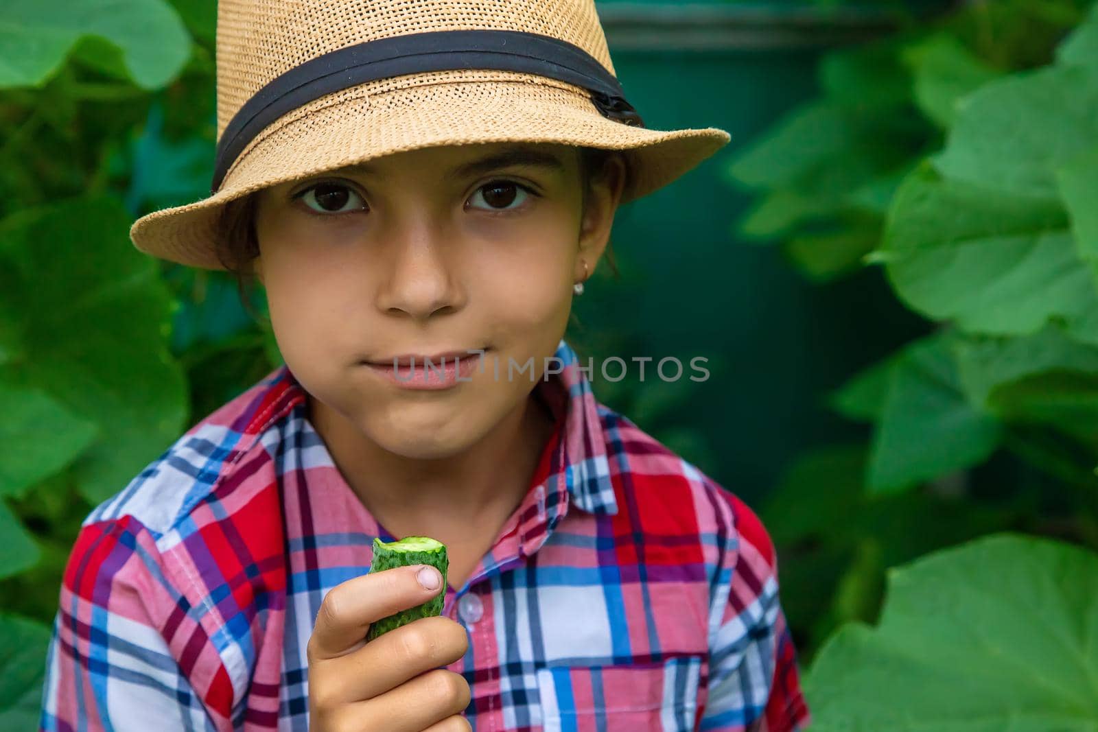 The child eats cucumbers in the garden. Selective focus. Kid.