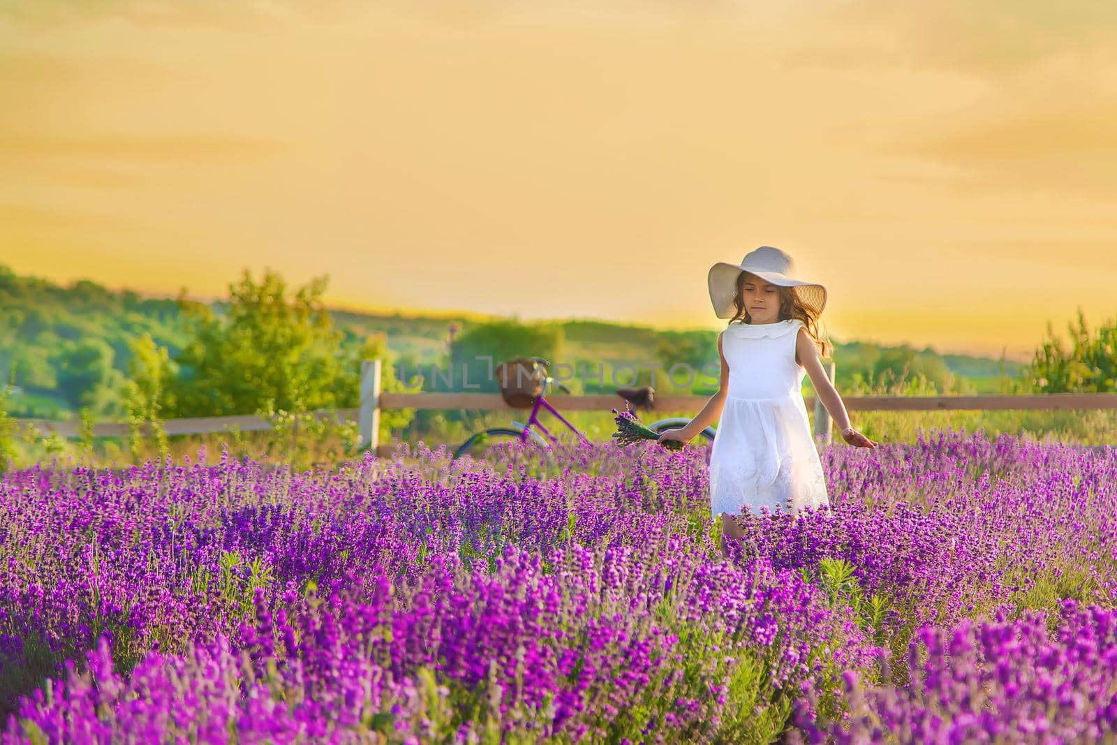 A child in a lavender field. Selective focus. Nature.