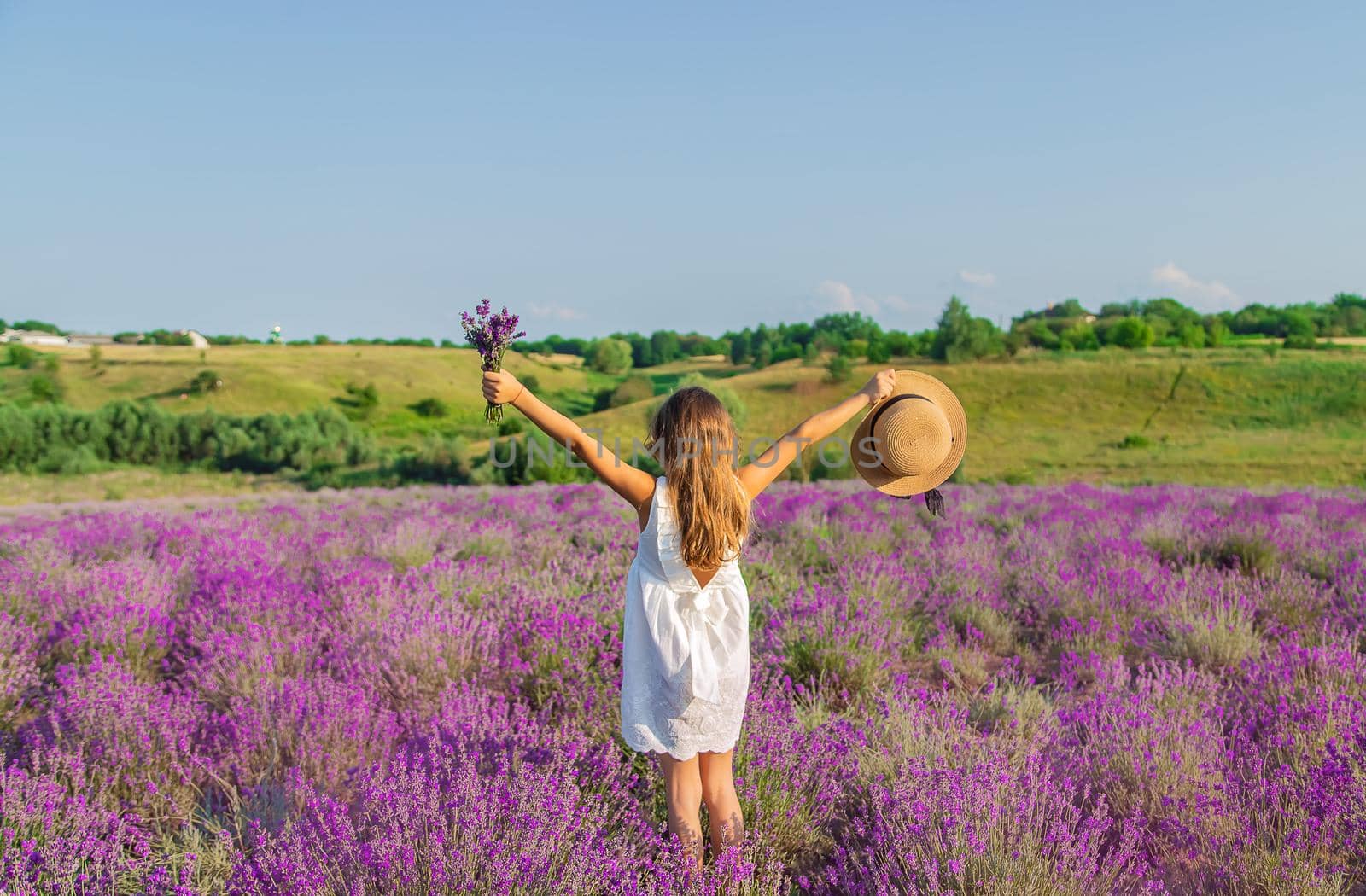 A child in a lavender field. Selective focus. Nature.