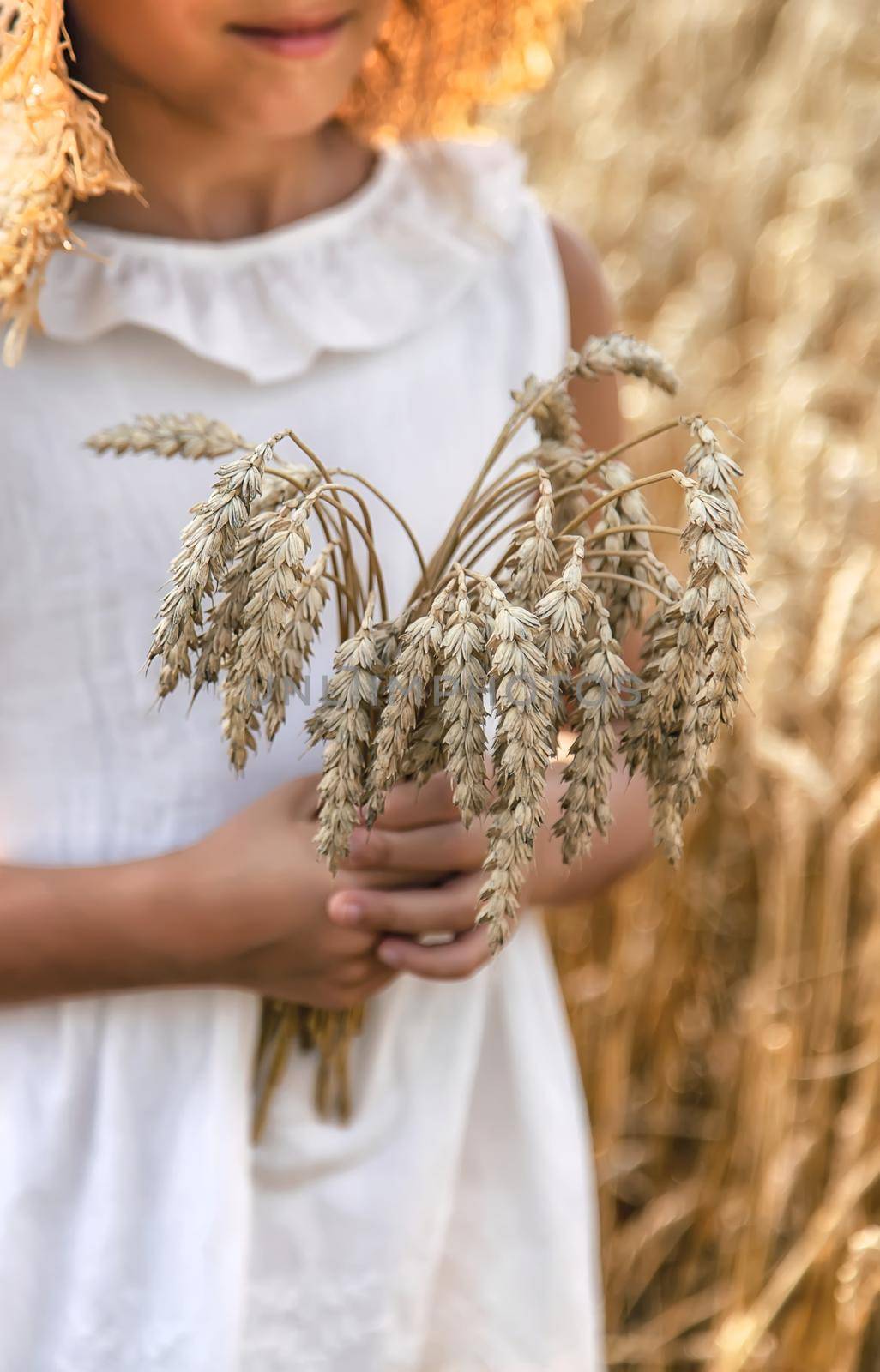 A child in a wheat field. Selective focus. Nature.