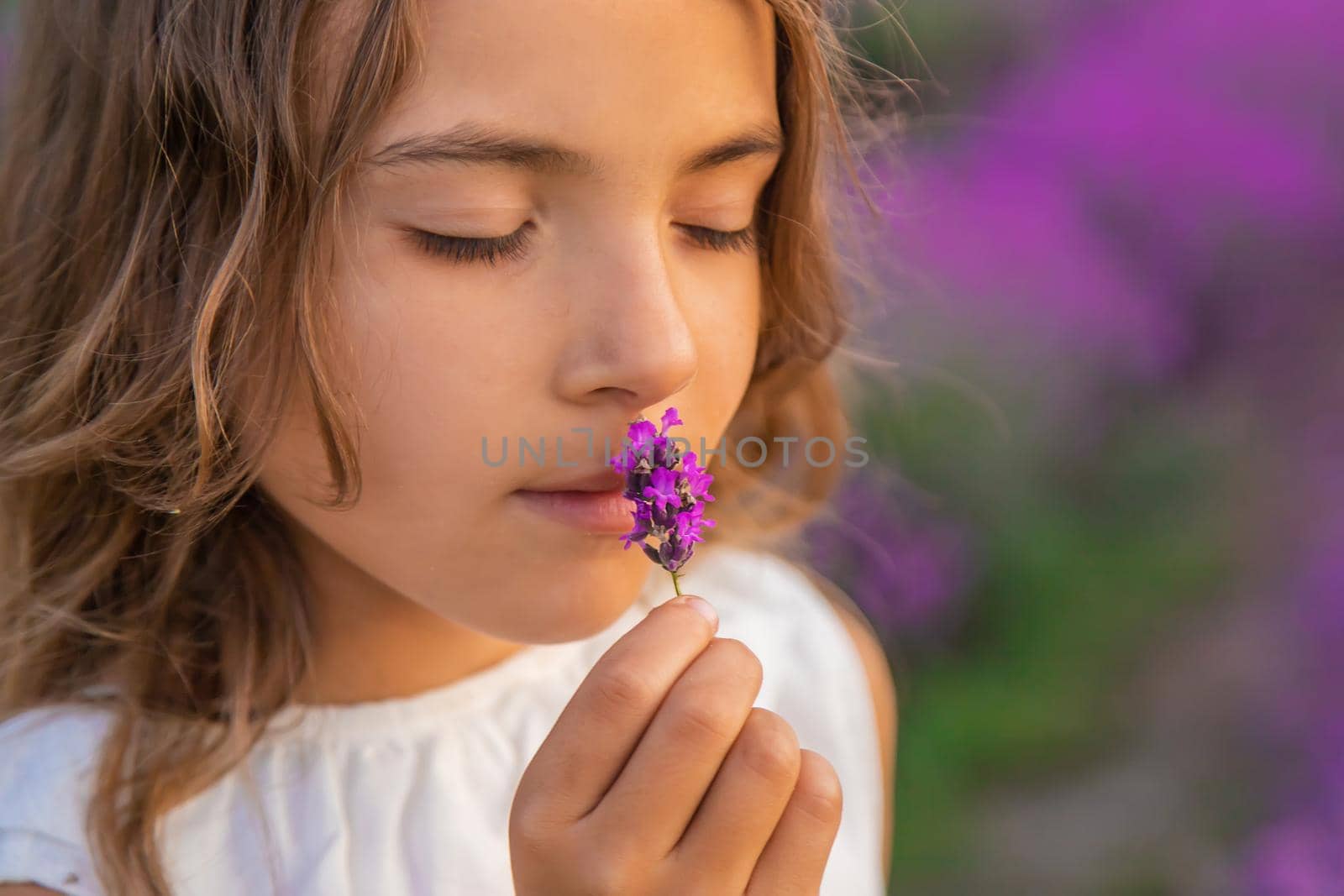 A child in a lavender field. Selective focus. Nature.