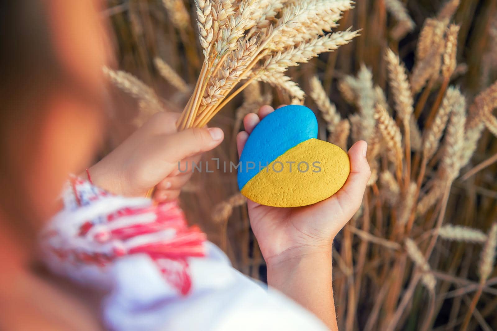 Child in a wheat field. In vyshyvanka, the concept of the Independence Day of Ukraine. Selective focus. Kid.