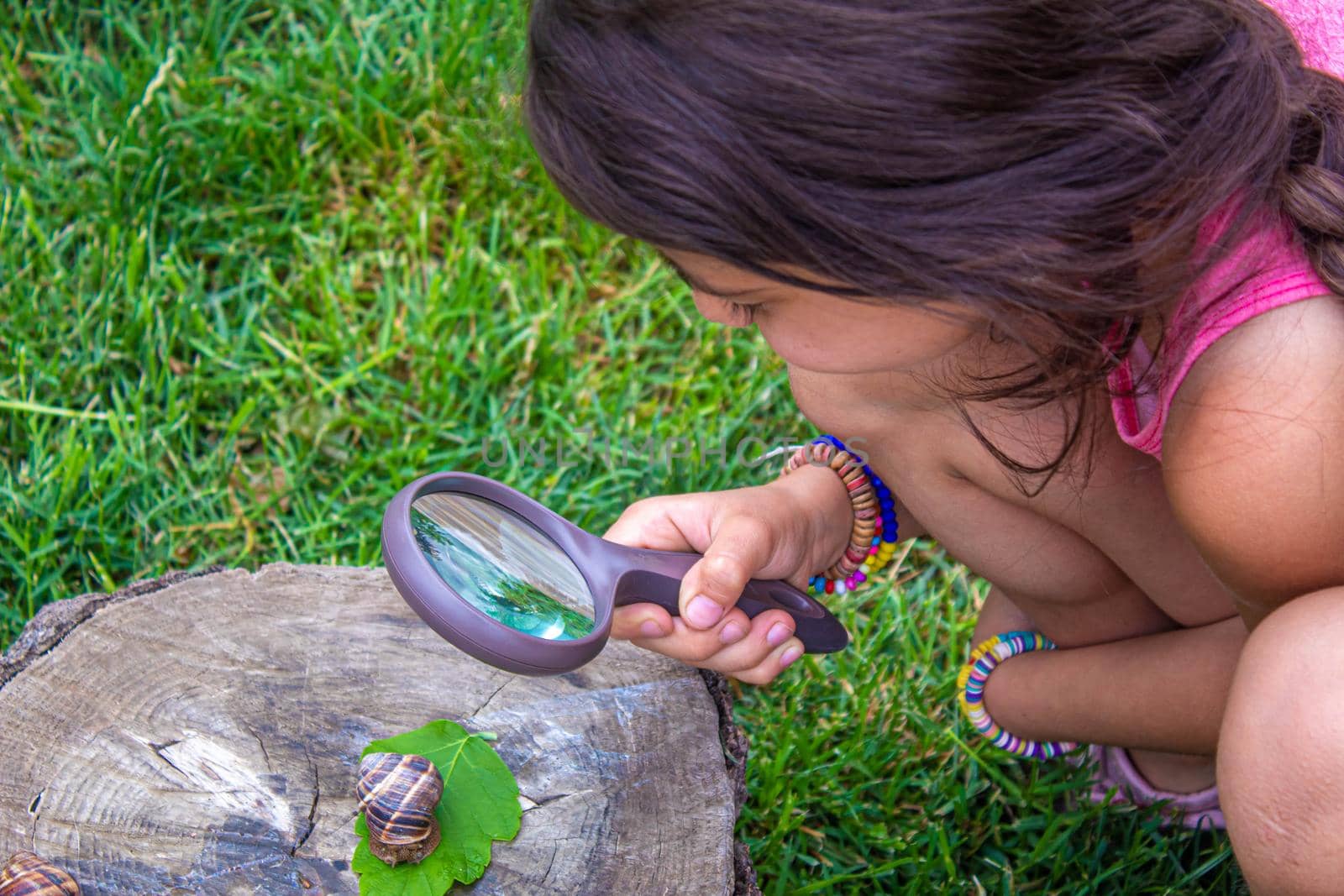 The child examines the snails on the tree. Selective focus. by mila1784