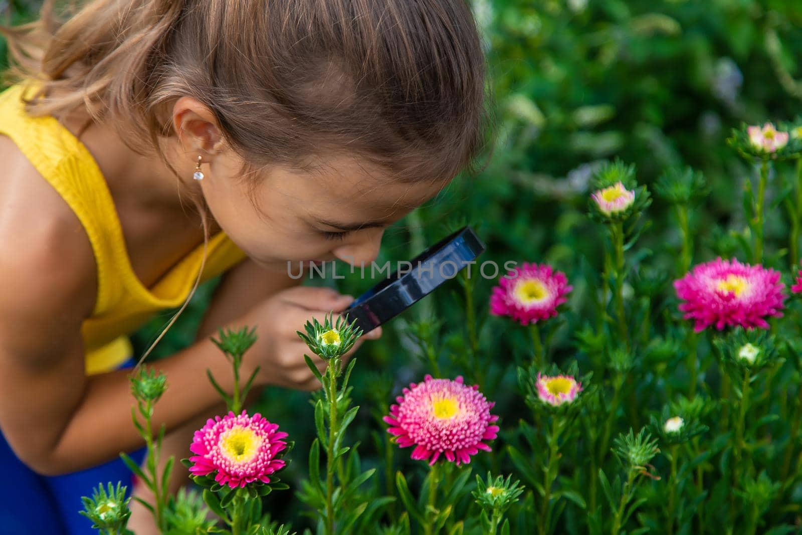 The child examines the plants with a magnifying glass. Selective focus. Kid.