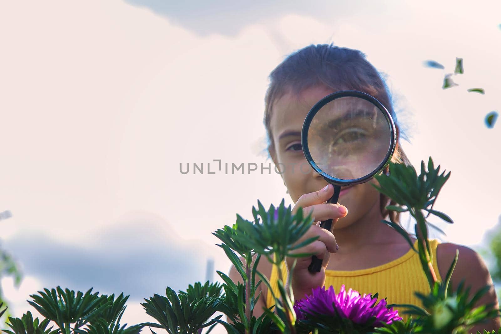 The child examines the plants with a magnifying glass. Selective focus. Kid.