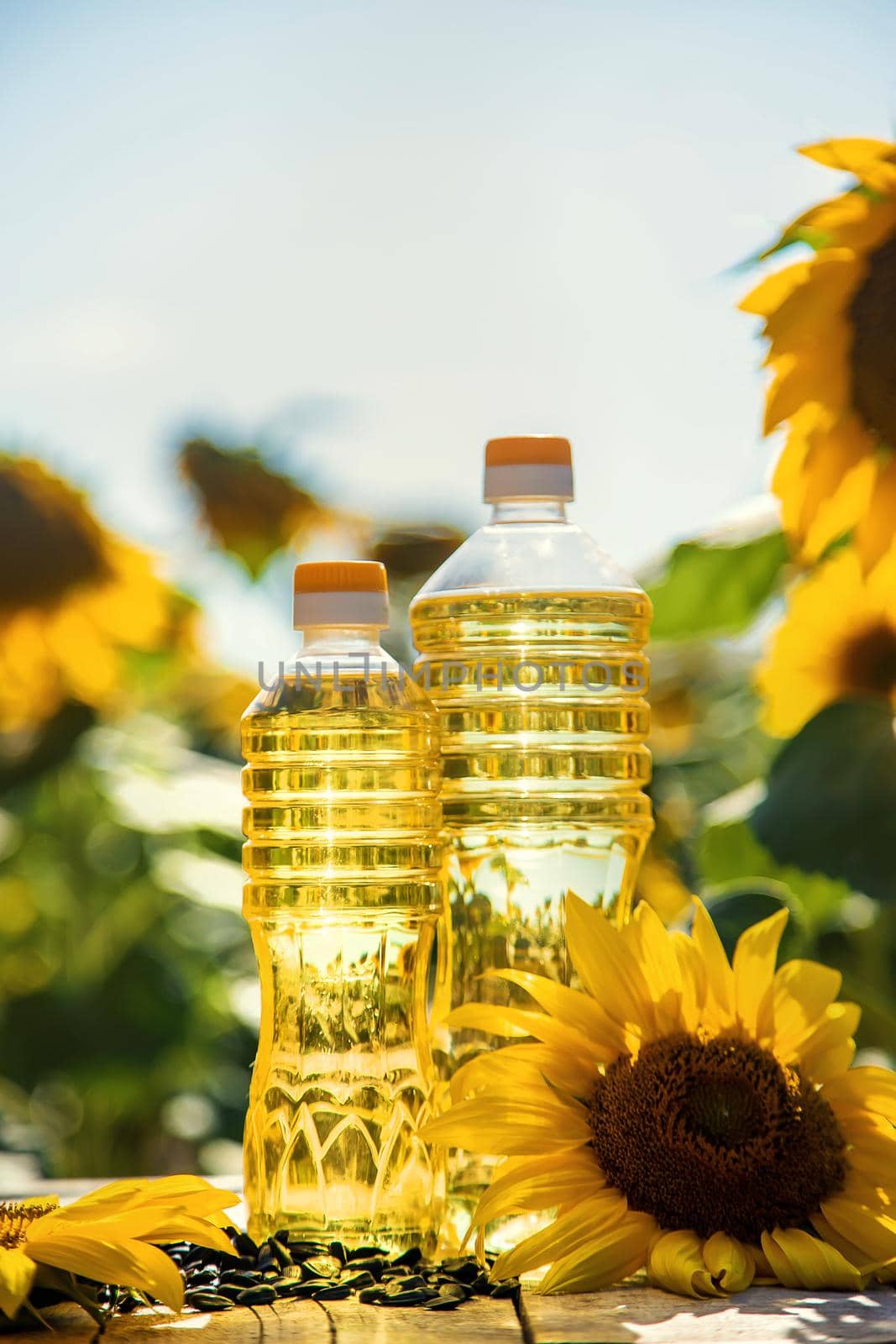 Sunflower oil in a bottle on the field. Selective focus. Nature.