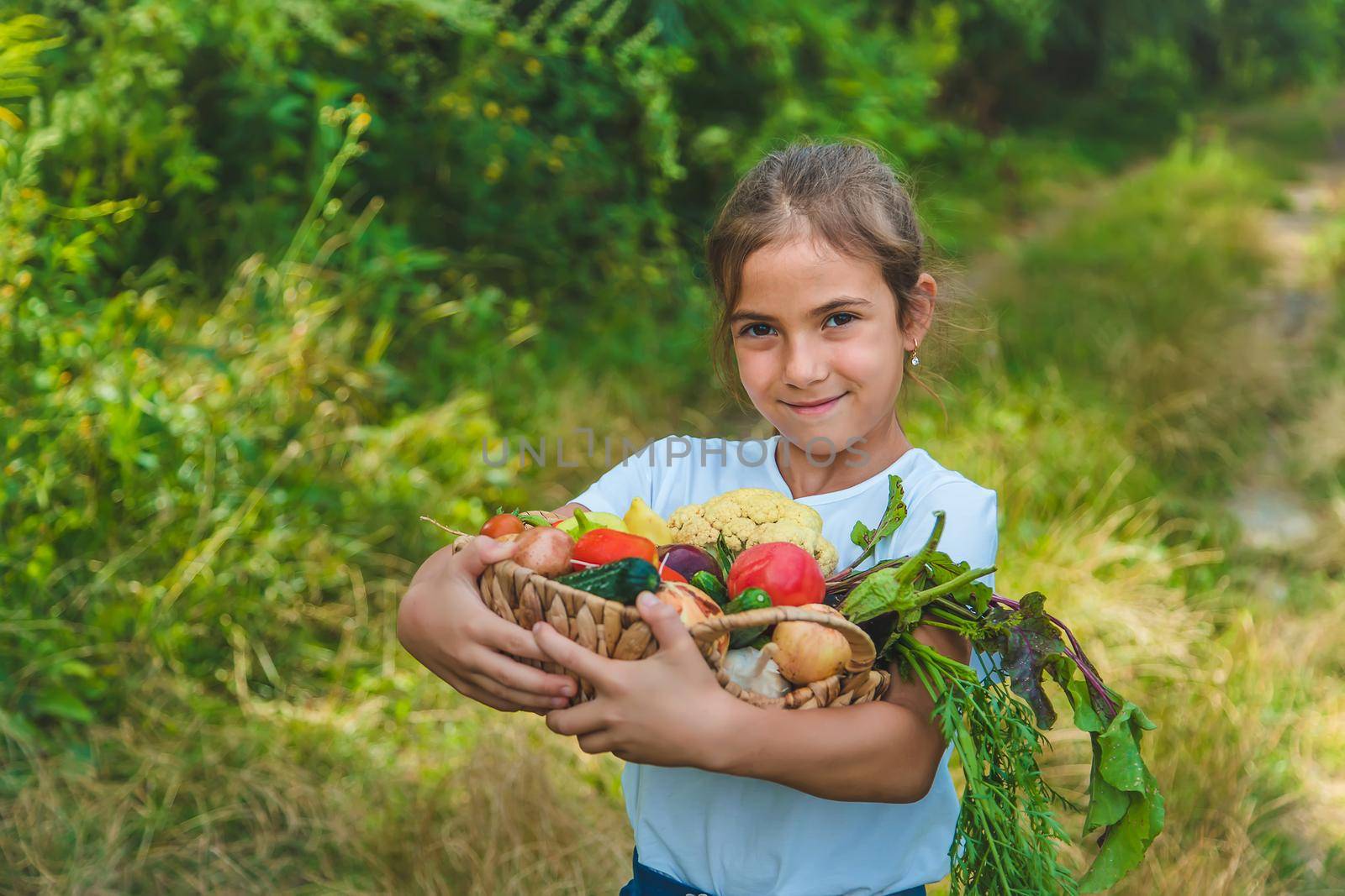 The child holds vegetables in his hands. Selective focus. Kid.