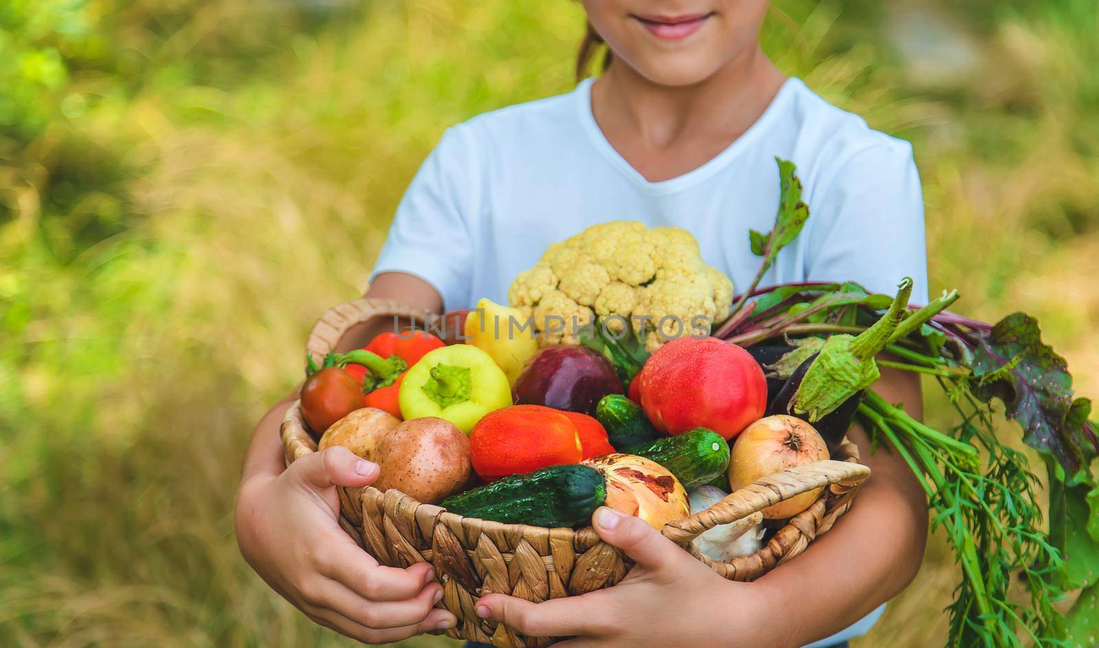 The child holds vegetables in his hands. Selective focus. Kid.