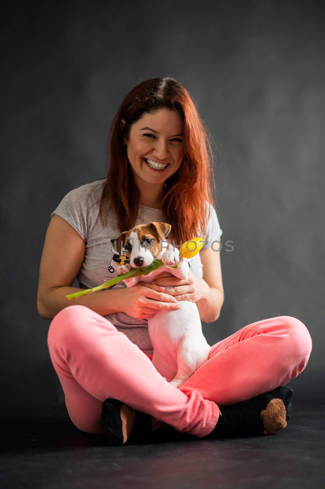 Happy smiling red-haired woman holding a small funny puppy with a yellow tulip in it mouth. The joyful owner plays with the dog Jack Russell Terrier on a black background.