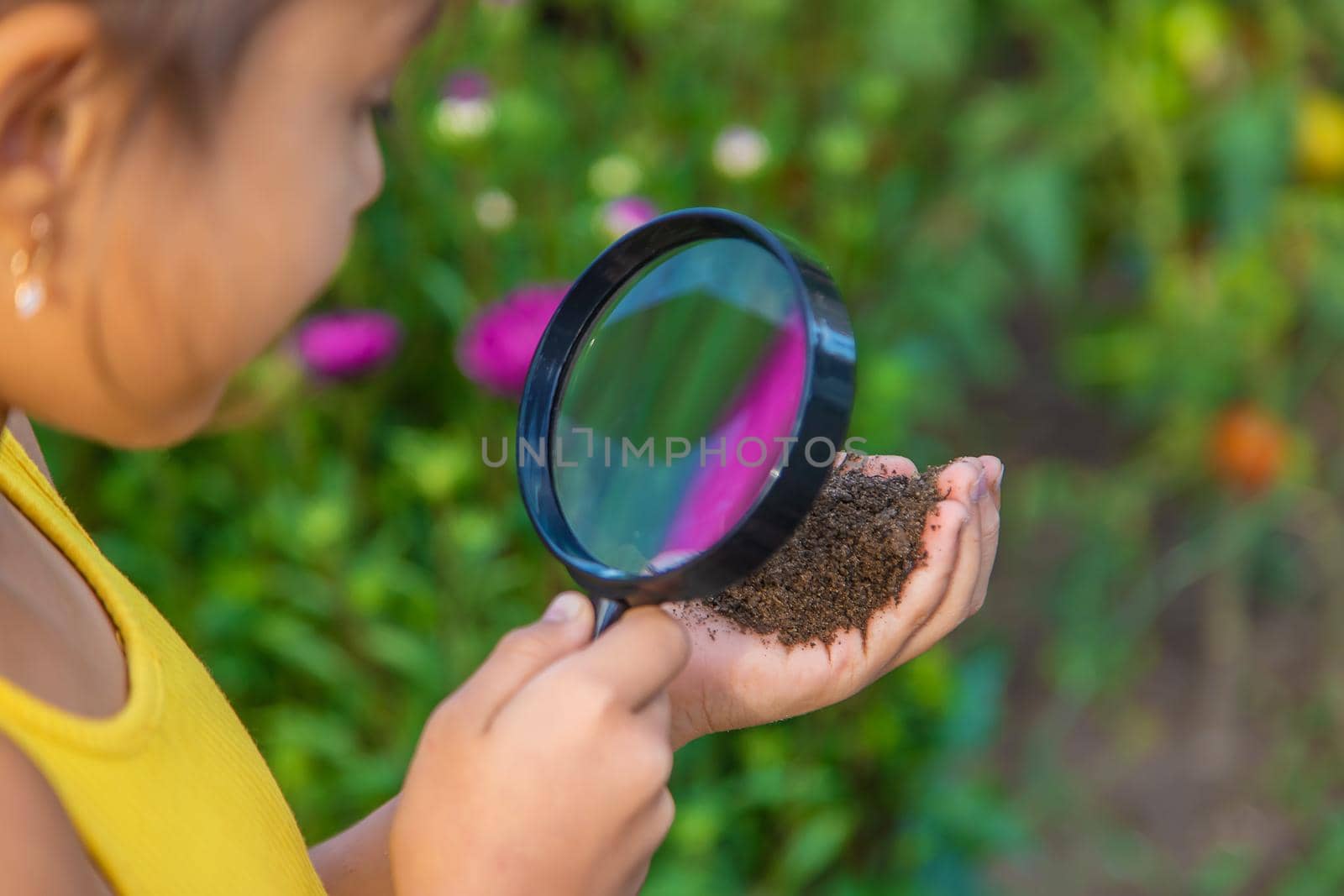The child examines the ground with a magnifying glass. Selective focus. by yanadjana