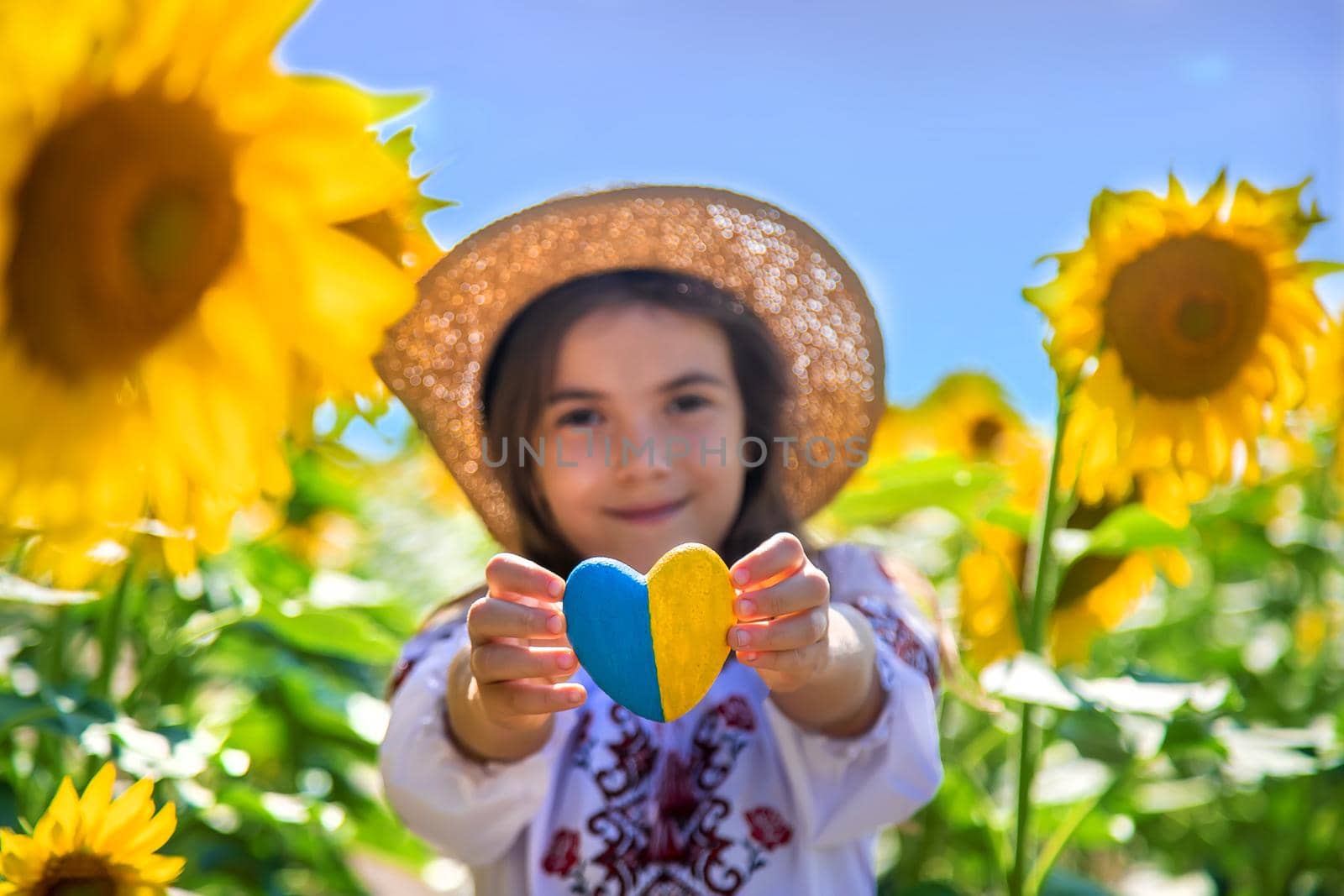 A child in a field of sunflowers in an embroidered shirt. Ukraine Independence Day concept. Selective focus. Nature.