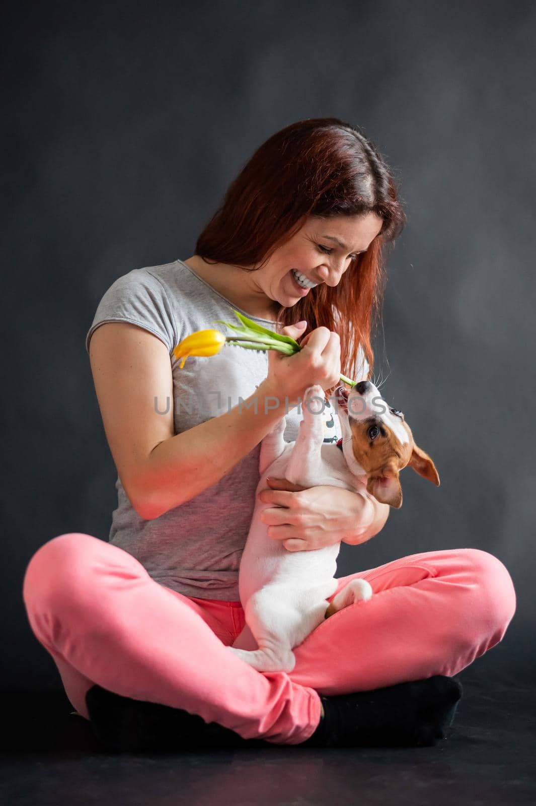 Red-haired woman holding a yellow tulip and playing with her puppy on a black background by mrwed54