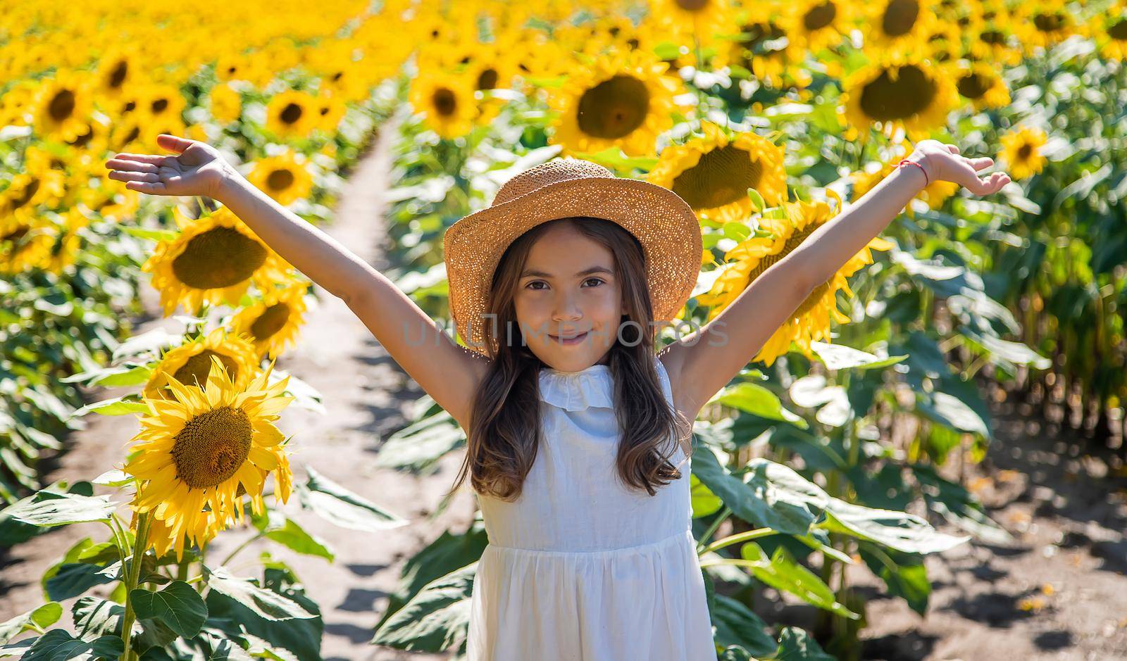 Child girl in a field of sunflowers. Selective focus. by yanadjana