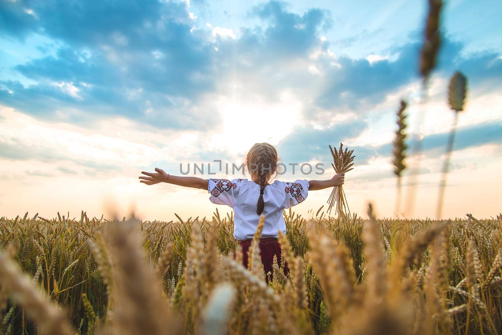 Child in a wheat field. In vyshyvanka, the concept of the Independence Day of Ukraine. Selective focus. Kid.