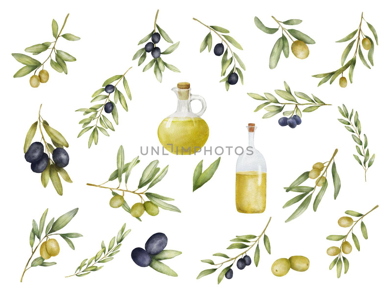 Set of Green and black olive branch and oil bottle watercolor drawing. Hand drawn illustration with olive leaves isolated on white background. Food of mediterranean cuisine