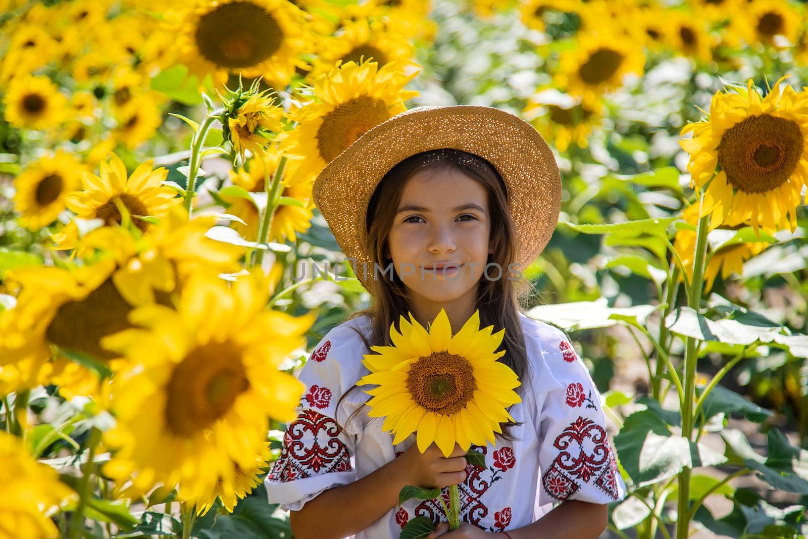 A child in a field of sunflowers in an embroidered shirt. . Selective focus. by yanadjana