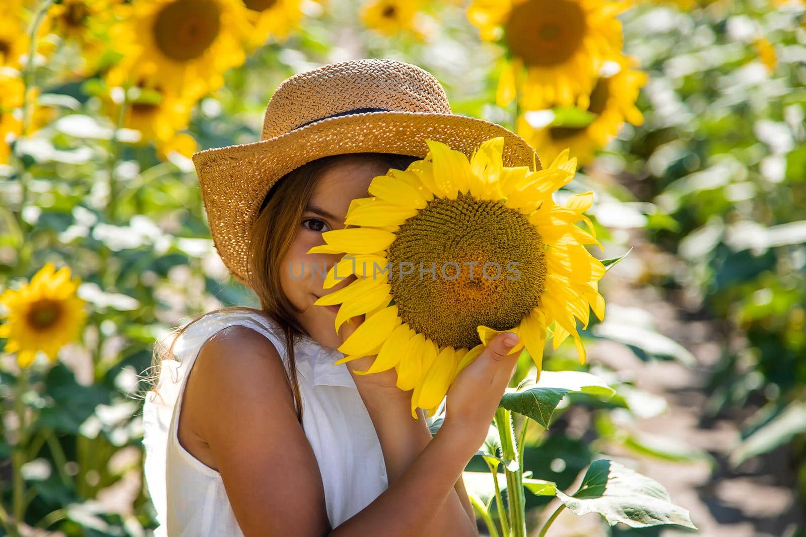 Child girl in a field of sunflowers. Selective focus. Kid.