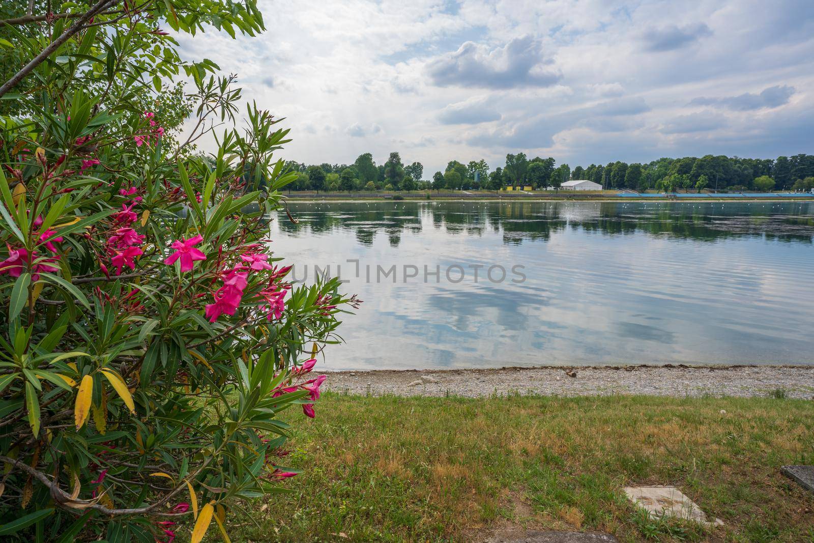 Idroscalo lake park, on the left beautiful flowers, cloudy day, Milan, Italy.