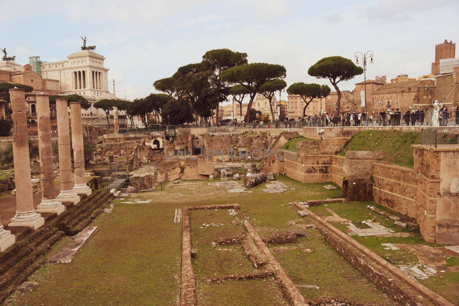 ROME, ITALY - February 05, 2022: Panoramic view around the Colosseum in city of Rome, Italy. Cold and gray sky in the background. Macro photography of the green parks with the old buildings.